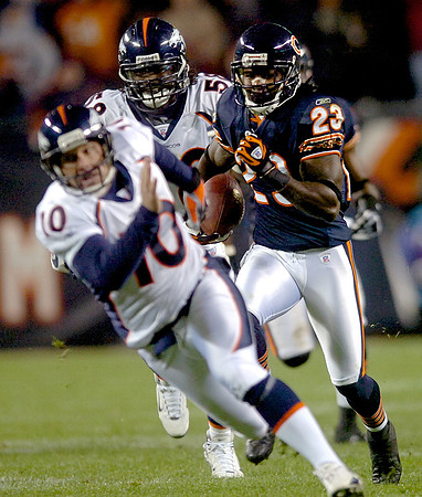 jo26_Bears_1